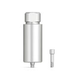Pre-milled Titanium Abutment DAION / ENG / Ø10